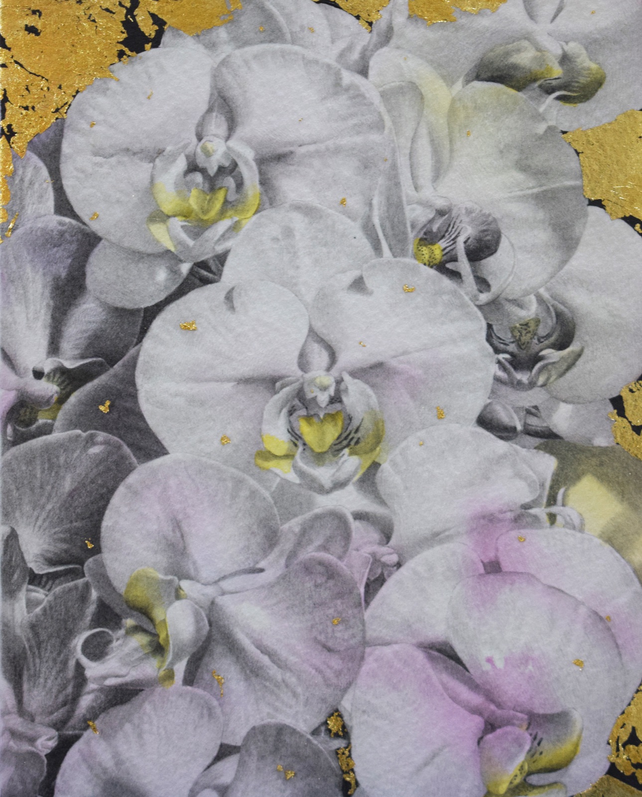 Orchid Artwork